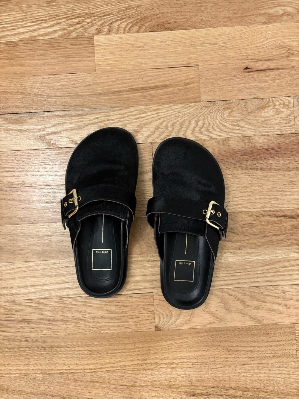 Dolce Vita Black Slide Sandals with Gold Buckle - Black Women